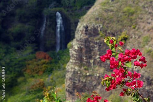 Obraz na płótnie Bougainvillia and Opaeka Falls w salonie