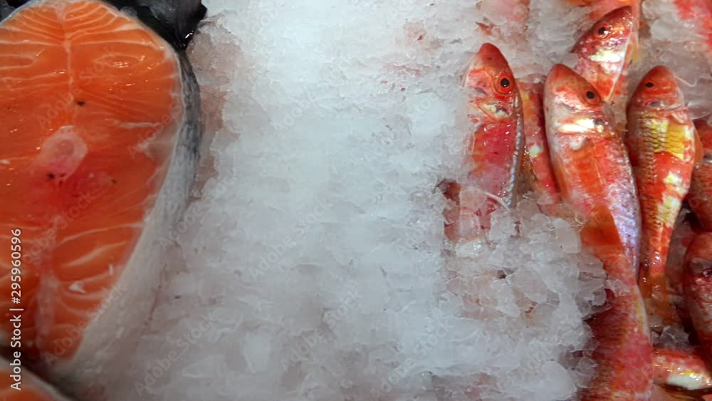 Fishes on Ice in Fish Store Fishes on Ice in Fish Store