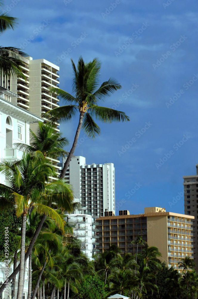 Apartment and Housing Opportunities in Honolulu