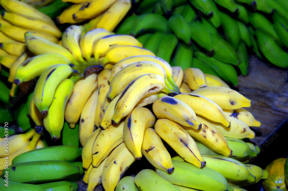 Banana Bunches Fresh at Hilo Market