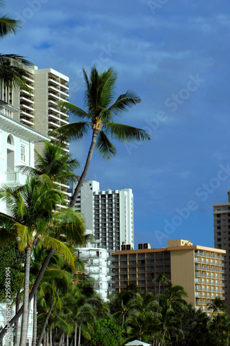 Apartment and Housing Opportunities in Honolulu © bonniemarie
