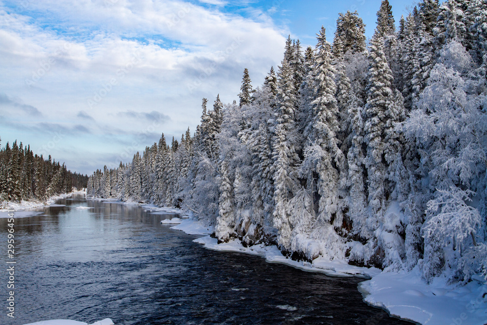 snow covered trees along river