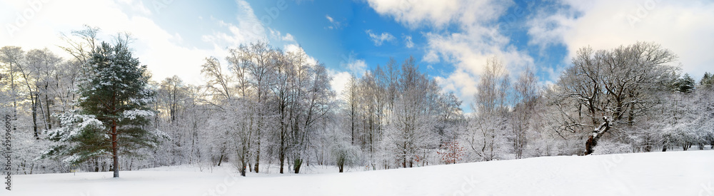 Beautiful view of snow covered forest. Rime ice and hoar frost covering trees. Chilly winter day. Winter landscape near Vilnius, Lithuania. Beautiful view of snow covered forest. Rime ice and hoar frost covering trees. Chilly winter day. Winter landscape near Vilnius, Lithuania.