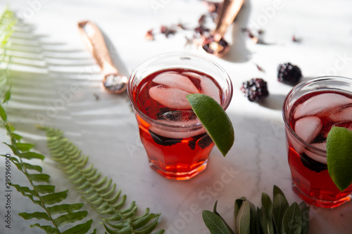 Botanical Cocktail on Marble Background