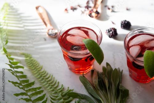 Botanical Cocktail on Marble Background