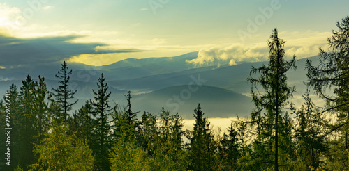 foggy morning in the mountains