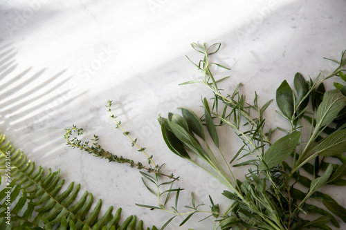Greenery herbs on marble background 