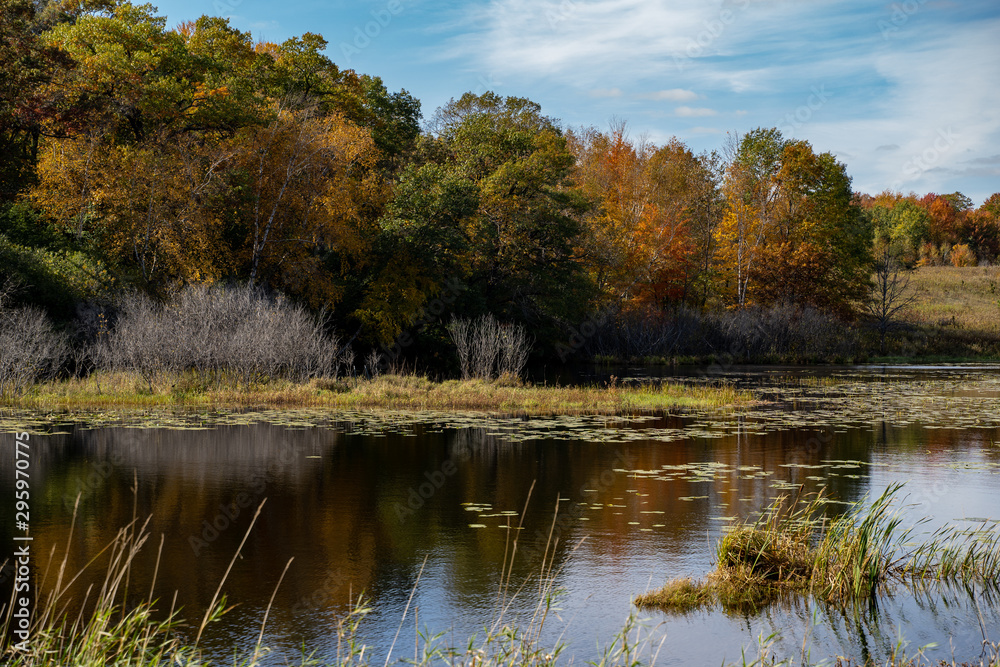 Fototapeta premium Beautiful Minnesota lake in fall, with trees, lily pads, and reeds on a sunny autumn day. Taken in Marine on St Croix MN