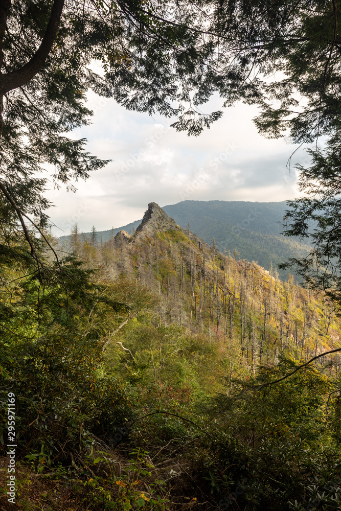 Fototapeta premium The Chimney top. Great Smoky Mountains