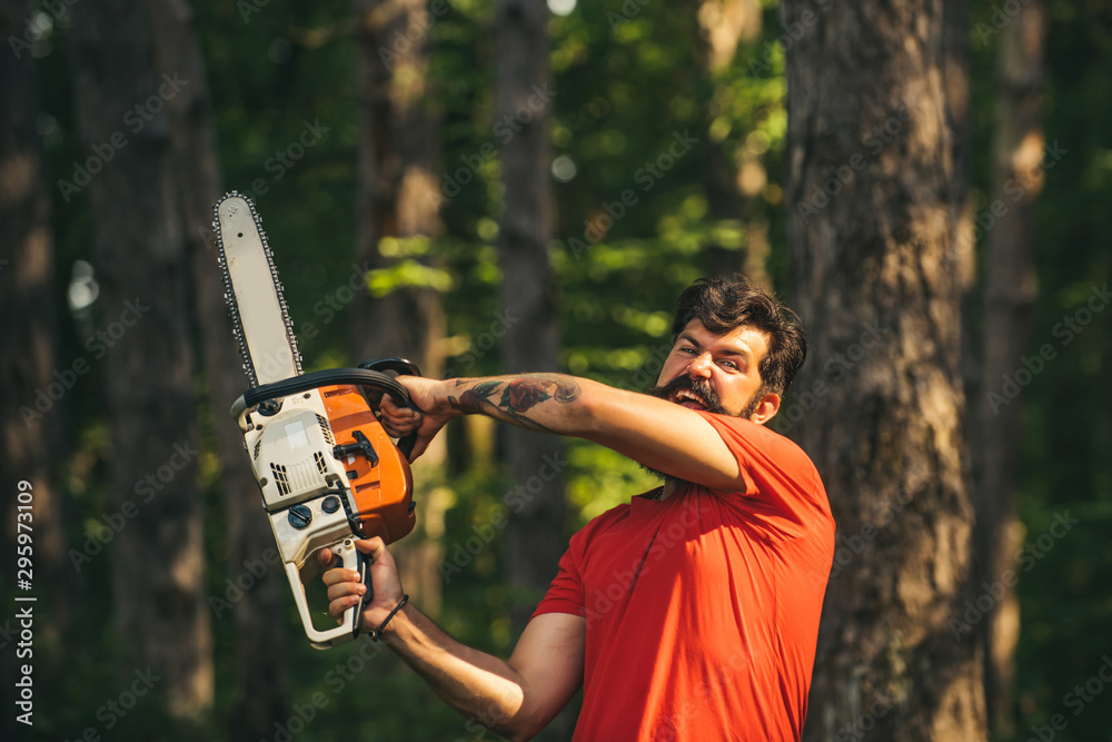 The Lumberjack working in a forest. Deforestation is a major cause of land degradation and destabilization of natural ecosystems. Woodworkers lumberjack.