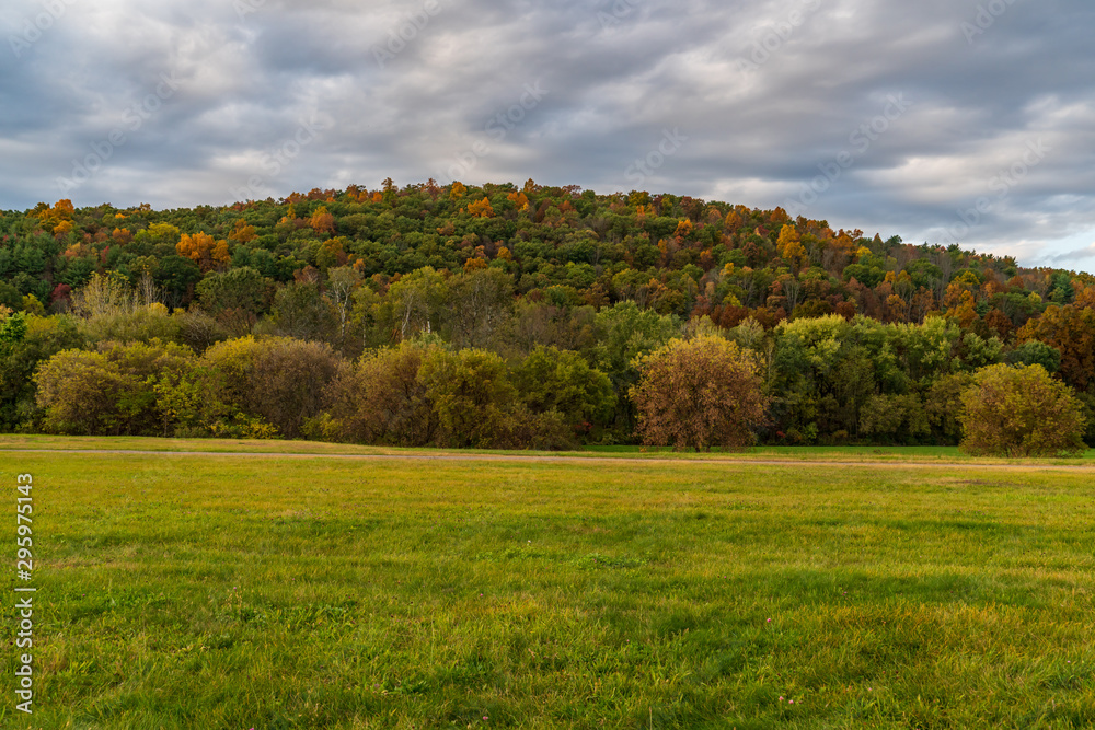 Fototapeta premium autumn landscape with trees and blue sky