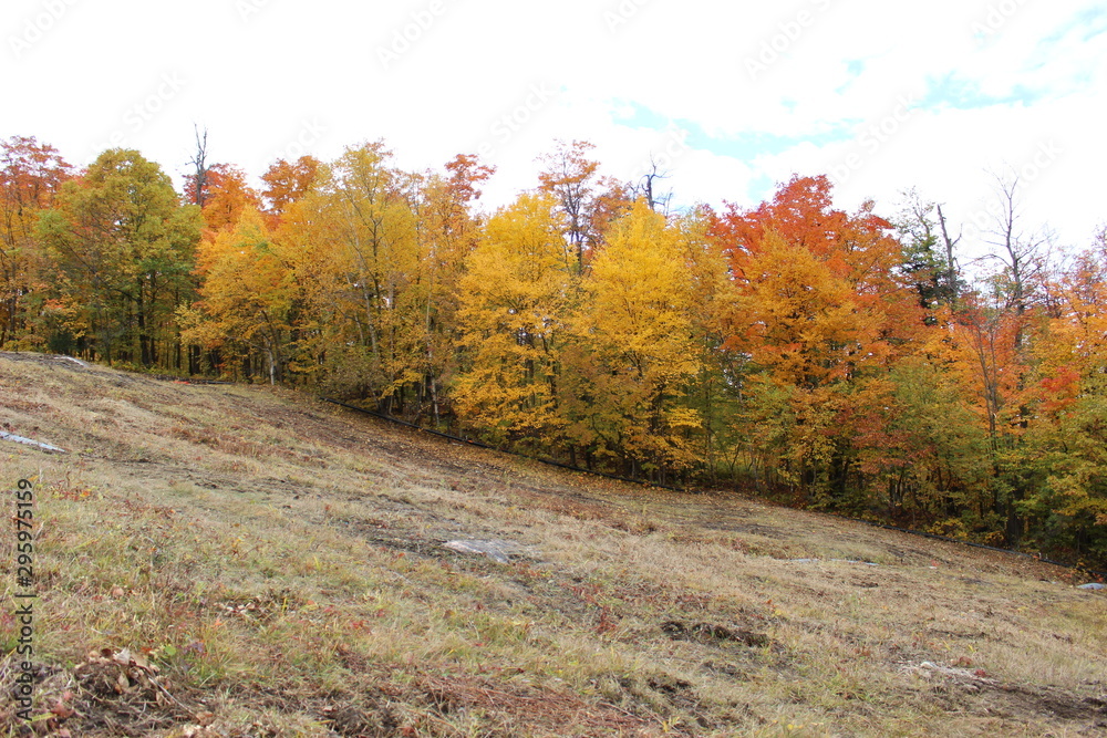 Fototapeta premium Beautiful and colorful Autumn landscape all over the mountain