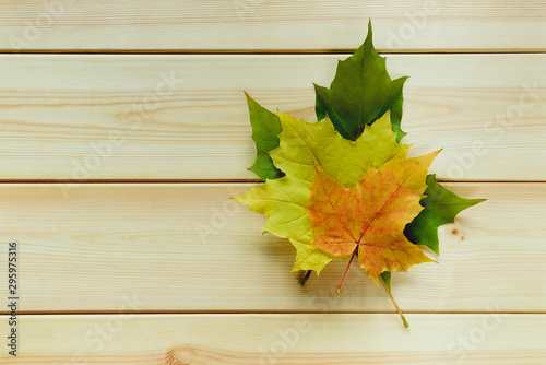 yellow golden leaves in heap flat lay on natural light wooden board table with copy space for text, horizontal stock photo image for autumn banner design