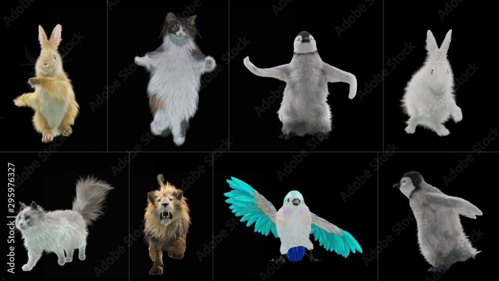 rabbit cat penguin penguins lion bird Zoo CG fur 3d rendering animal realistic CGI VFX Animation Loop Crowd dance composition 3d mapping cartoon Motion Background, (with Alpha Channel)