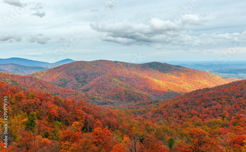Colorful autumn view of Blue Ridge mountain ridges from Skyline Drive in Shenandoah National Park.Virginia.USA