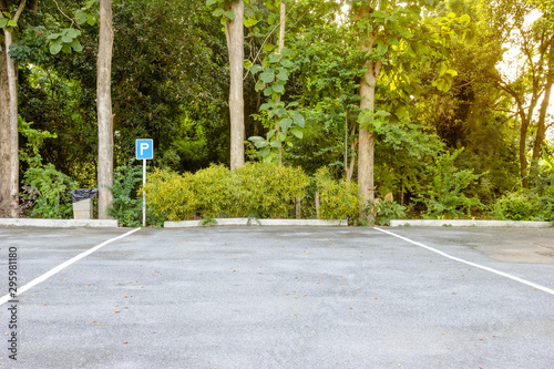 Wallpaper Mural Lines parking with forest background Torontodigital.ca