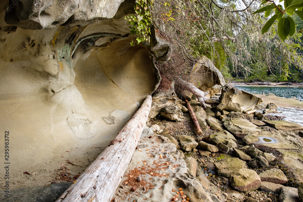 Naklejka premium sand stone with unique formation on the edge of the island near the forest with drift wood laying on the ground