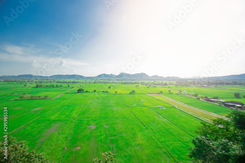 Blurred of Scenery rice field and mountain