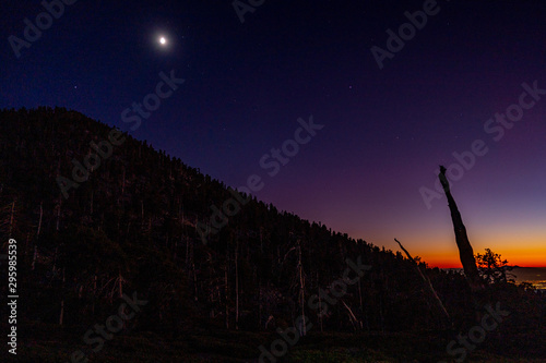 Moonrise over dead tree silhouettes after forest fire