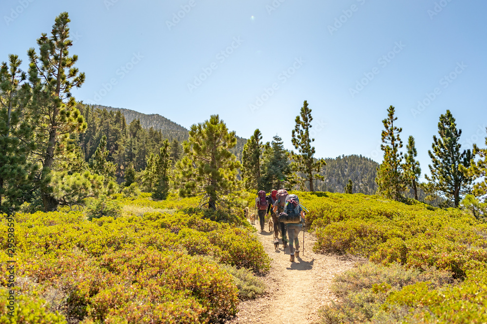 Backpackers heading through open meadow in San Bernardino Mountains, Los Angeles California