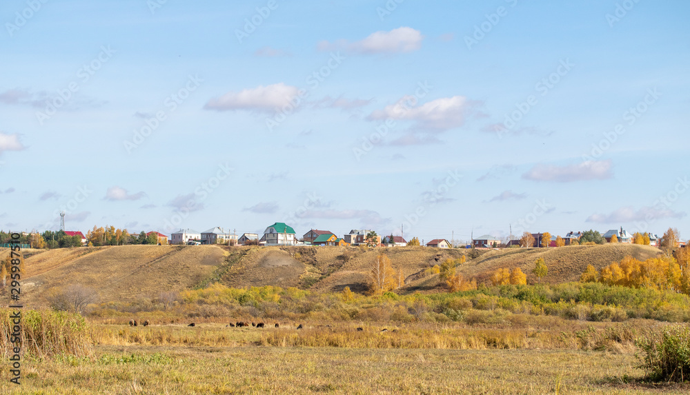 Village houses on a background of an autumn landscape, grass, trees, blue sky.