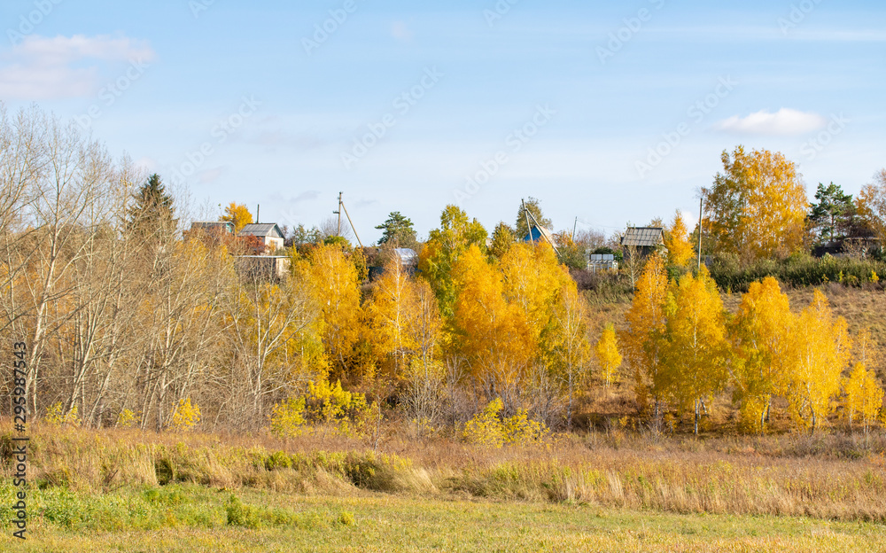 Village houses on a background of an autumn landscape, grass, trees, blue sky.