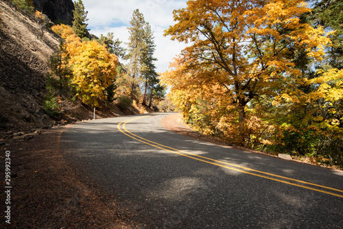 The Historic Columbia River Highway near Rowena Crest in Oregon During Autumn photo