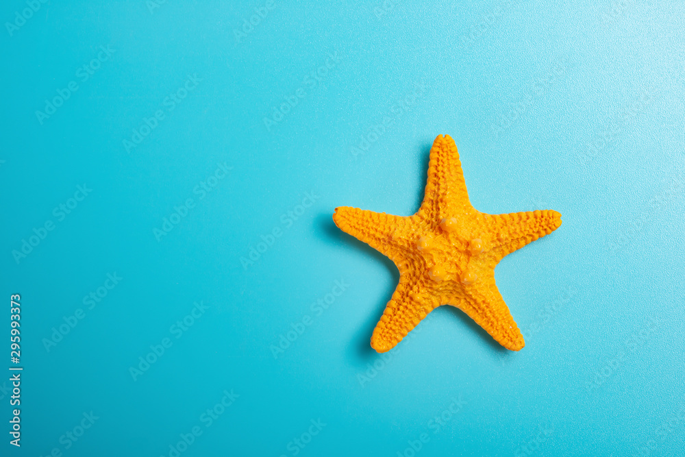 orange starfish on blue background with copy space orange starfish on blue background with copy space