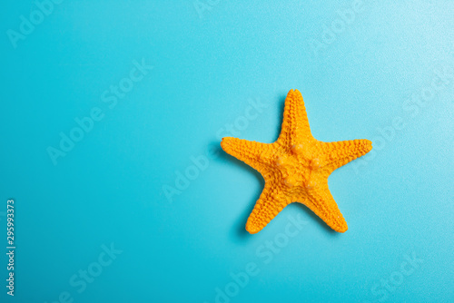orange starfish on blue background with copy space