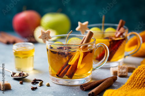 Cuadro en lienzo Apple mulled cider with spices in glass cup