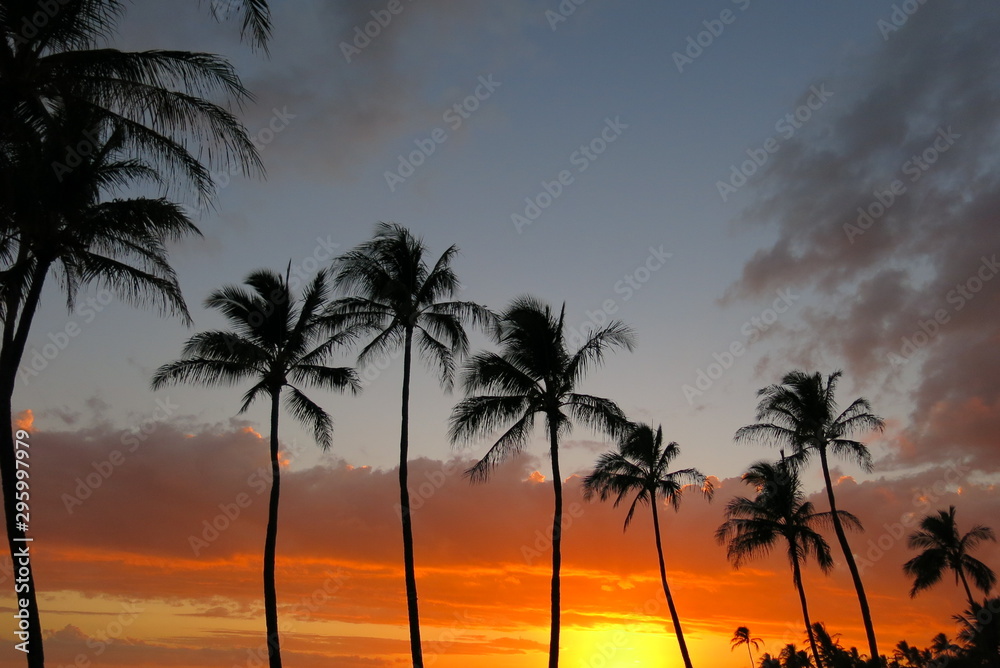 Kauai Island sunset2