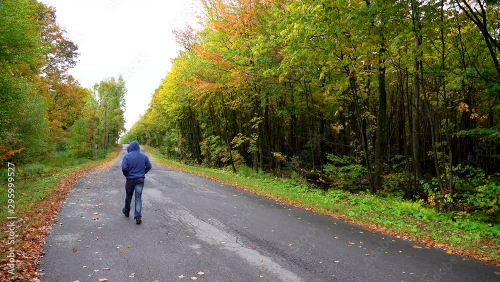 Man walking on a small road surrounded by maple autumn maple leaf Man walking on a small road surrounded by maple autumn maple leaf