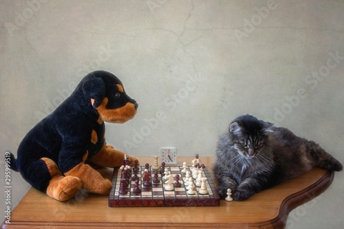 Tabby cat playing chess with plush toy dog photo