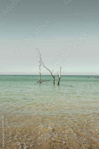End of the world: global warming photo