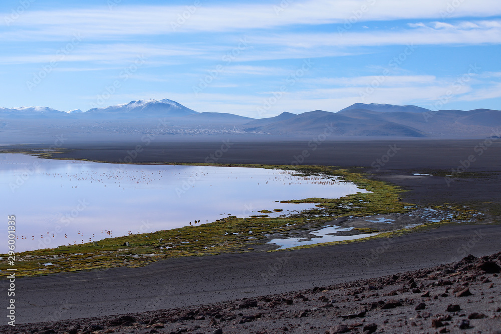 Laguna Colorada. Landscape of Siloli Desert. Snow-capped volcanoes and desert landscapes in the highlands of Bolivia. Andean landscapes of the Bolivia Plateau