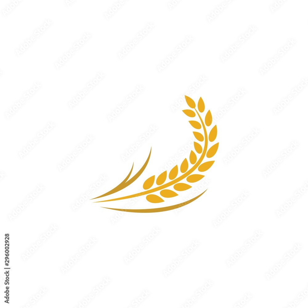 Wheat logo template vector icon Wheat logo template vector icon