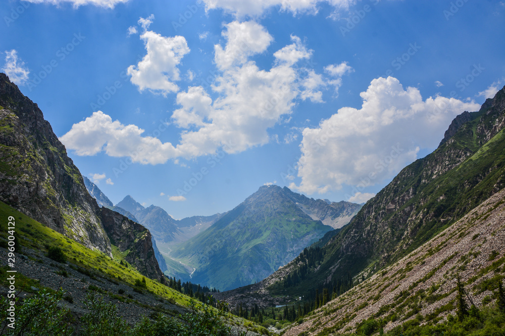 Idyllic summer landscape with hiker in the mountains with beautiful fresh green mountain pastures and forest.