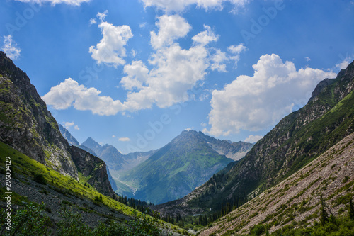 Idyllic summer landscape with hiker in the mountains with beautiful fresh green mountain pastures and forest. © sergfear