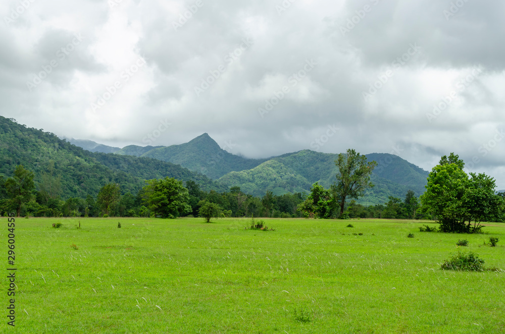 View of beautiful landscape with fresh green meadows and mountain.