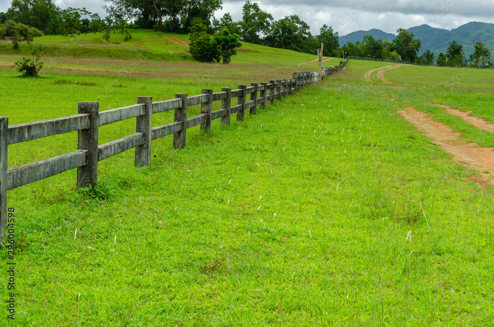 Fence in the green field. Beautiful landscape.