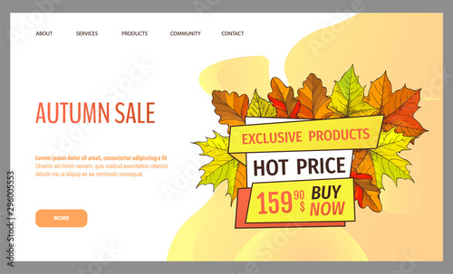 Card with seasonal proposition from store, vector. Shop sale in autumn. Autumnal offer discounts. Fall leaves with gold tag. Flyer hot price and lowered cost, promotion premium quality goods