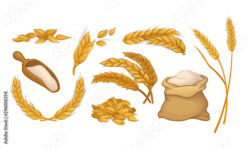 Ears Of Wheat. Grain Culture Vector Illustration