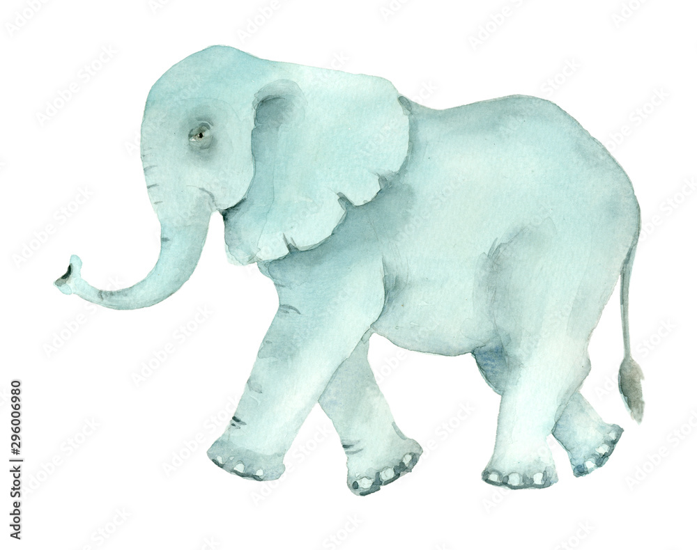 Fototapeta premium hand drawn turquoise elephant
