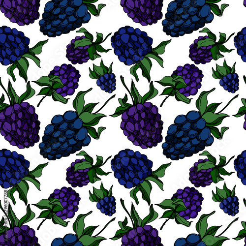 Vector Blackberry healthy food. Black and white engraved ink art. Seamless background pattern.