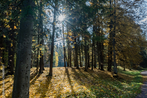Autumn landscape and landscape in the Park of Pavlovsk  Leningrad region.