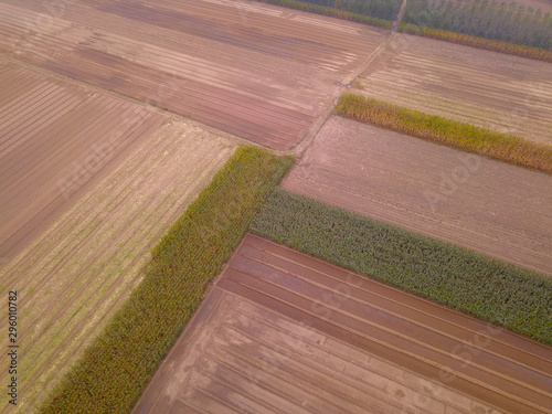 Mature rice in the field of highway and channel photo