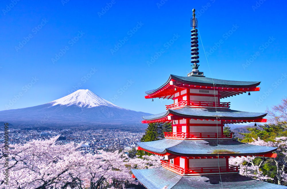 春の桜咲く新倉山浅間公園内の五重塔と富士山