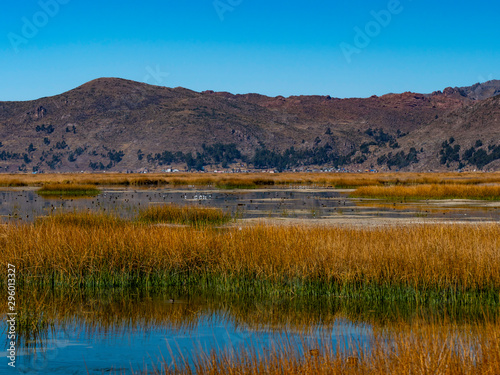 Views to Natural Reseve in Lake Titicaca. Protected area with plants and fauna. Puno region, Peru.