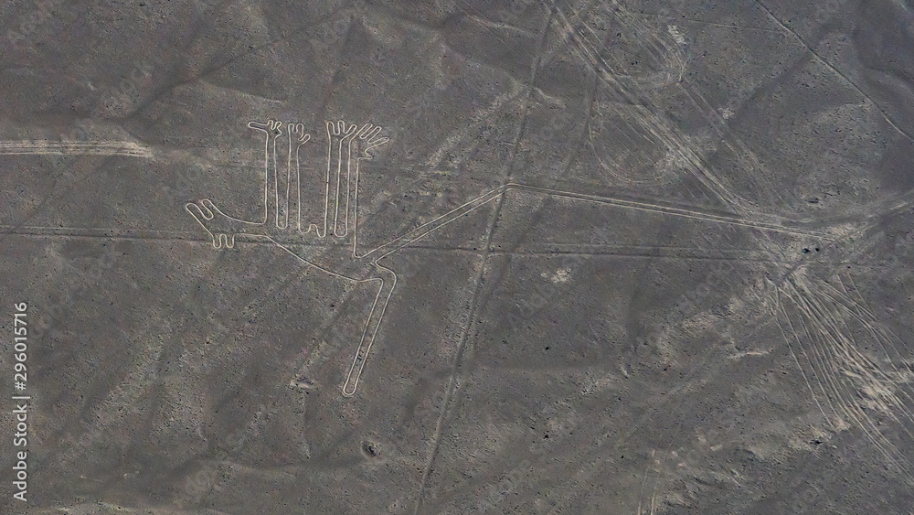 Aerial view of the Dog figure in Nazca Lines, Peru