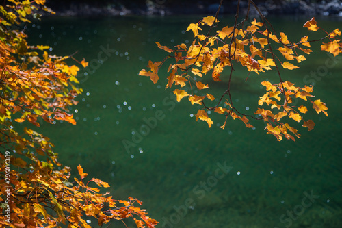 The orange Leaves and emerald Water